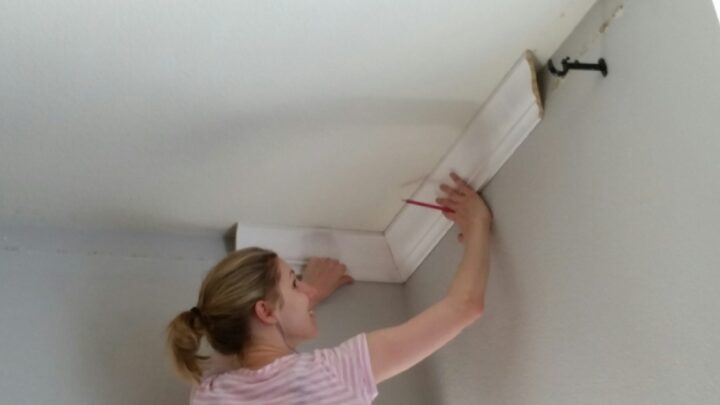 The moment I figured out how to install crown molding. Magical!