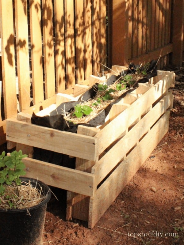 How To Build a Planter Box for Your Deck Railing